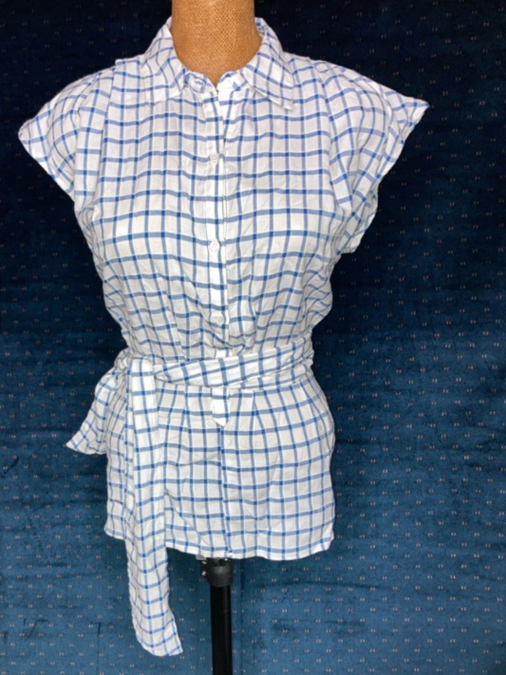 Max Studio button down, cap sleeved tunic with waist tie in blue-and-white plaid